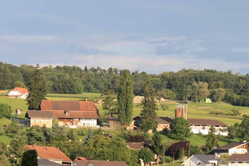 Hof Oberprehl Leilighet Murten Eksteriør bilde
